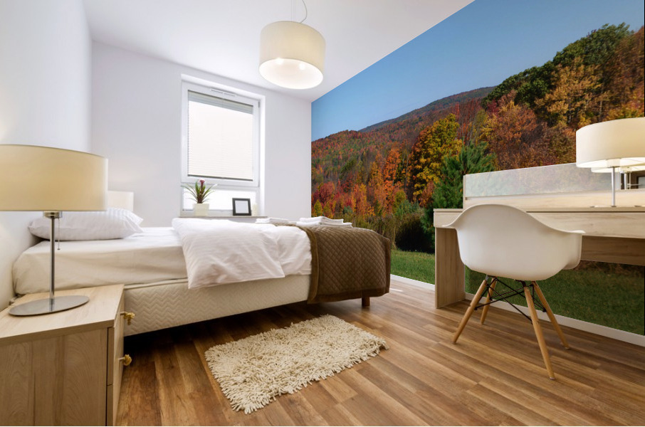 Upstate NY Fall Mural print