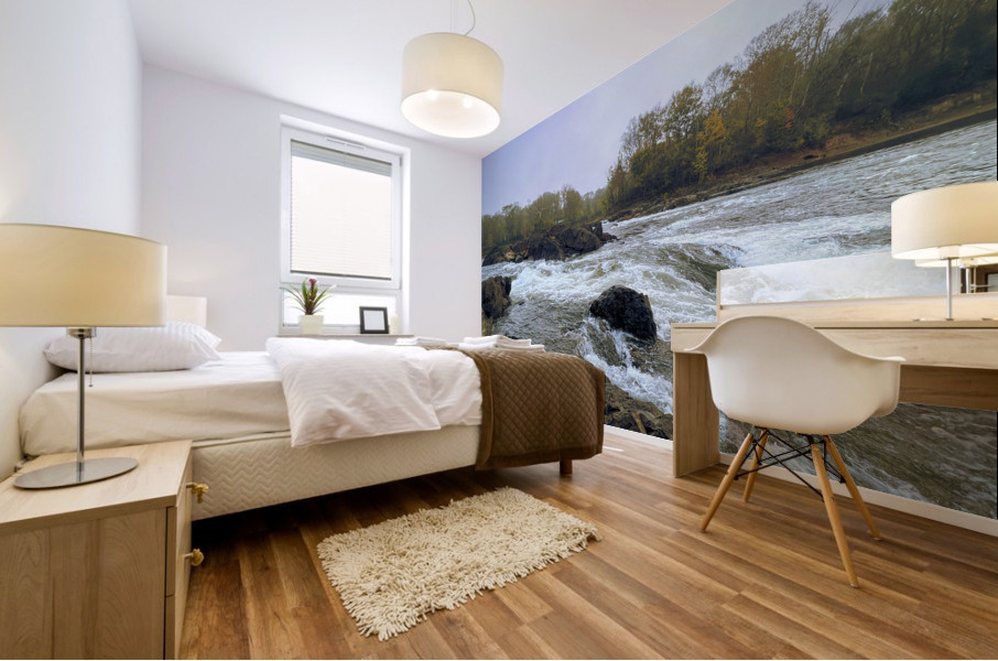 Roanoke Rapids Mural print