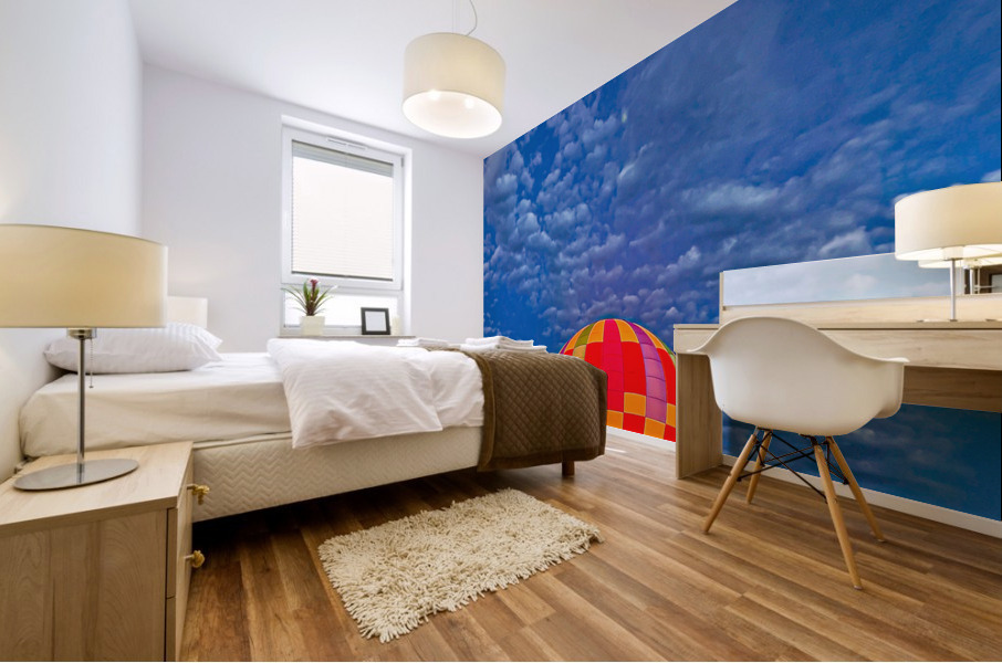 Sunset Flight Mural print