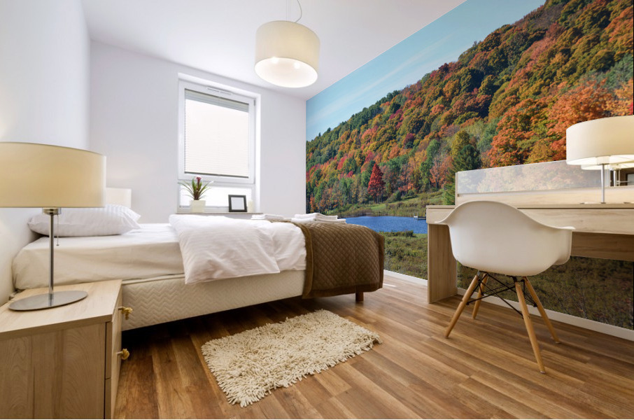 Upstate NY Fall Pond Mural print