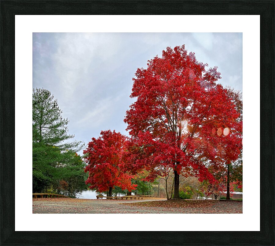 Fall in Virginia Picture Frame print