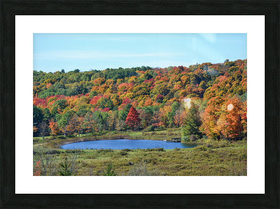 Upstate NY Fall Pond Picture Frame print