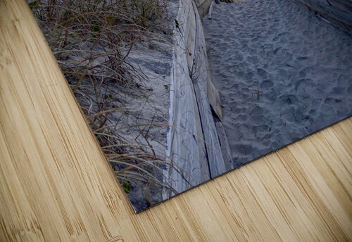 Sneak Peak at the Beach Craf TB puzzle