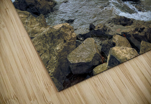 Roanoke Rapids Craf TB puzzle