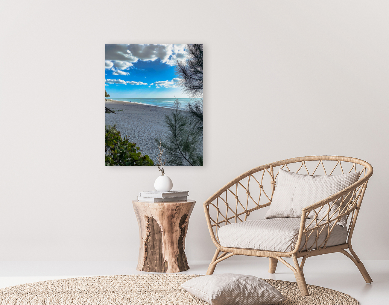 Manasota Key Reproduction