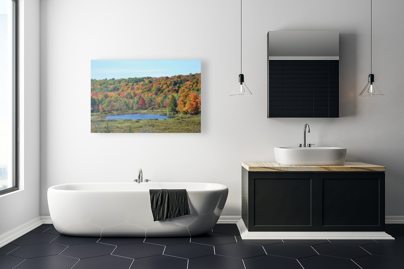 Upstate NY Fall Pond Reproduction