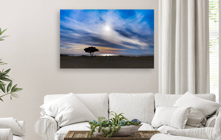 Pamlico Sound Reproduction