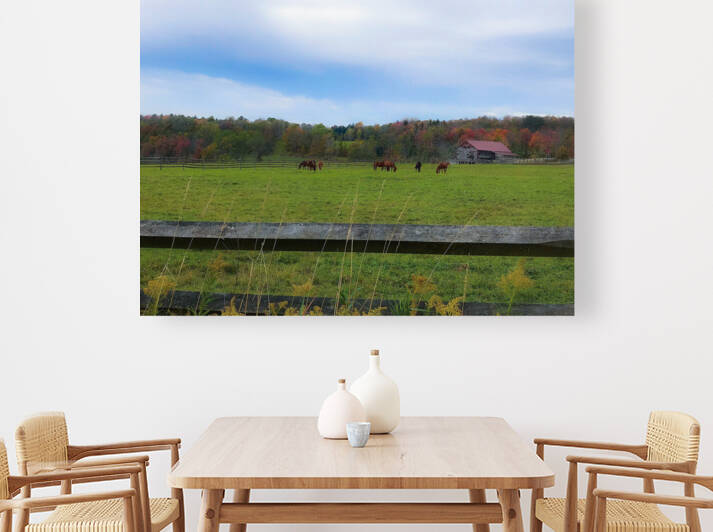 Fall in Upstate New York by Craf TB