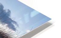 Sneak Peak at the Beach HD Metal print