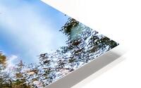 Roanoke Rapids Weldon Mill NC HD Metal print
