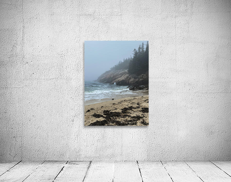 Maine Coastline Wall Preview