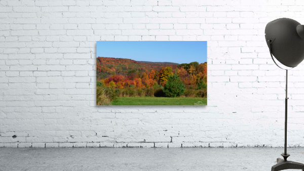 Upstate NY Fall Wall Preview