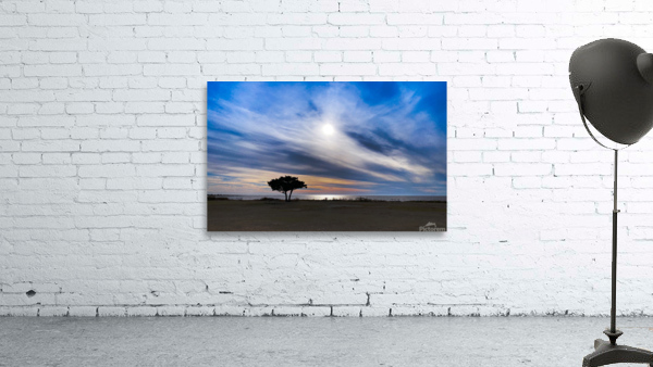 Pamlico Sound Wall Preview