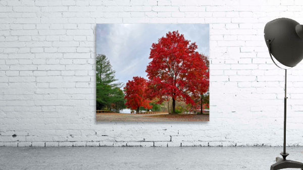 Fall in Virginia Wall Preview