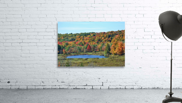 Upstate NY Fall Pond Wall Preview