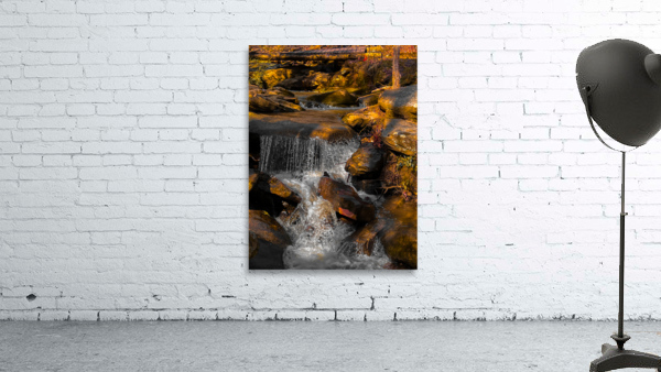 Shenandoah Mountains Stream Wall Preview