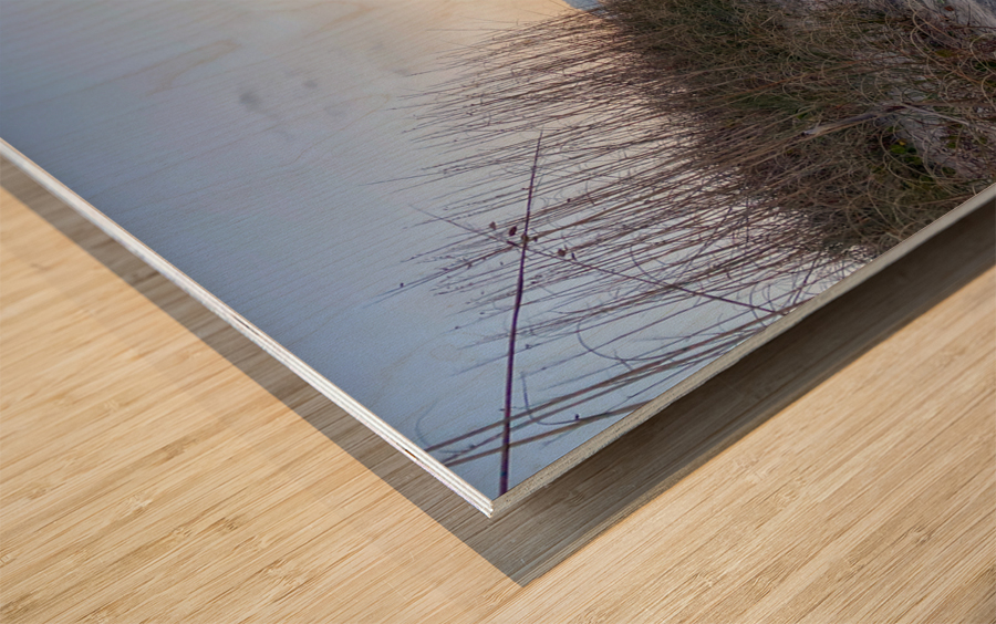Sneak Peak at the Beach Wood print