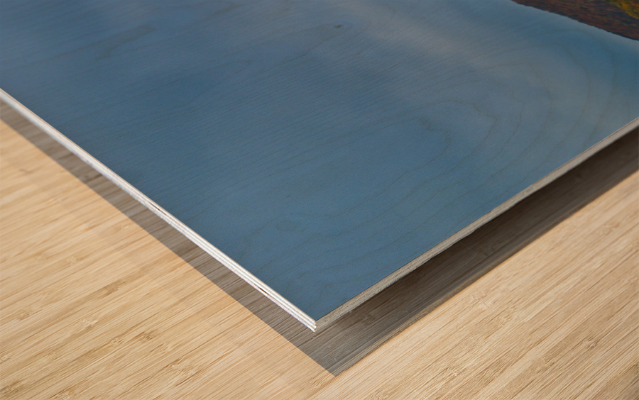 The Barn Wood print