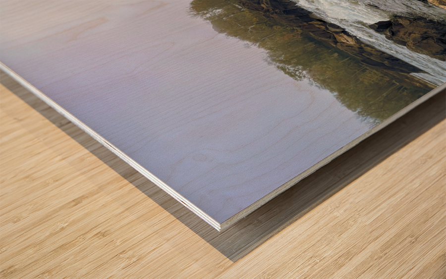 Roanoke Rapids Wood print