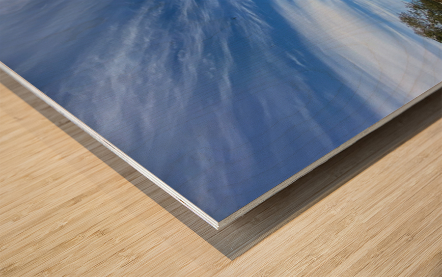 Biloxi Wood print
