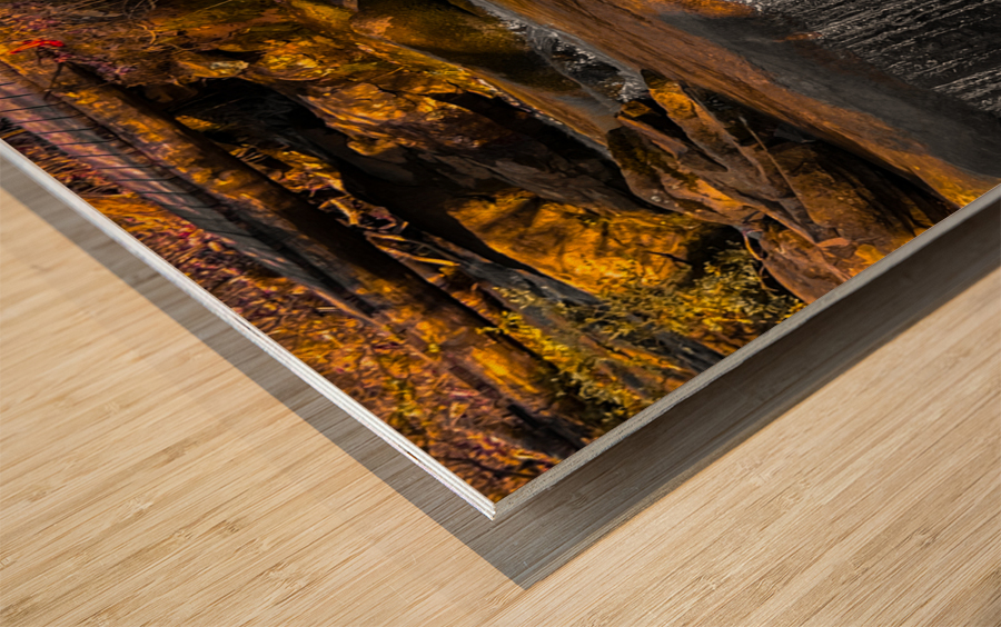 Shenandoah Mountains Stream Wood print
