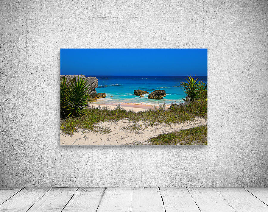 Bermuda beach Wall Preview
