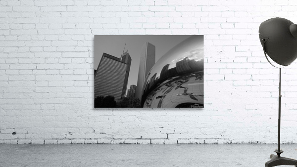 Chicago Cloud Gate Wall Preview