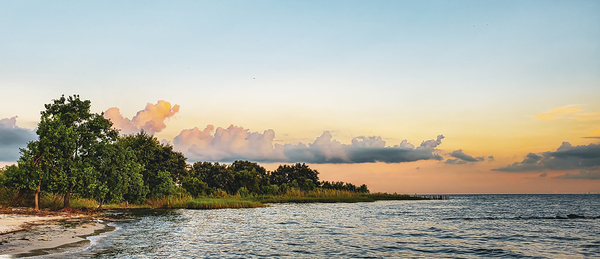 ©Charles Rain Photography Digital Download