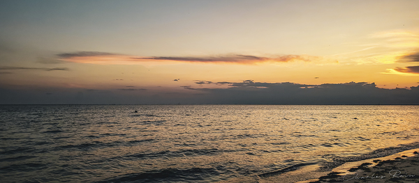 ©Charles Rain Photography Digital Download