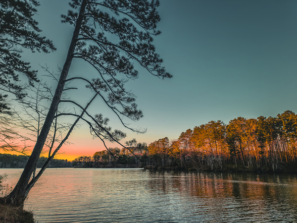 ©Charles Rain Photography Digital Download