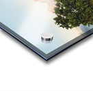 ©Charles Rain Photography Acrylic print