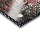 ©Charles Rain Photography Acrylic print