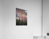 ©Charles Rain Photography Acrylic Print