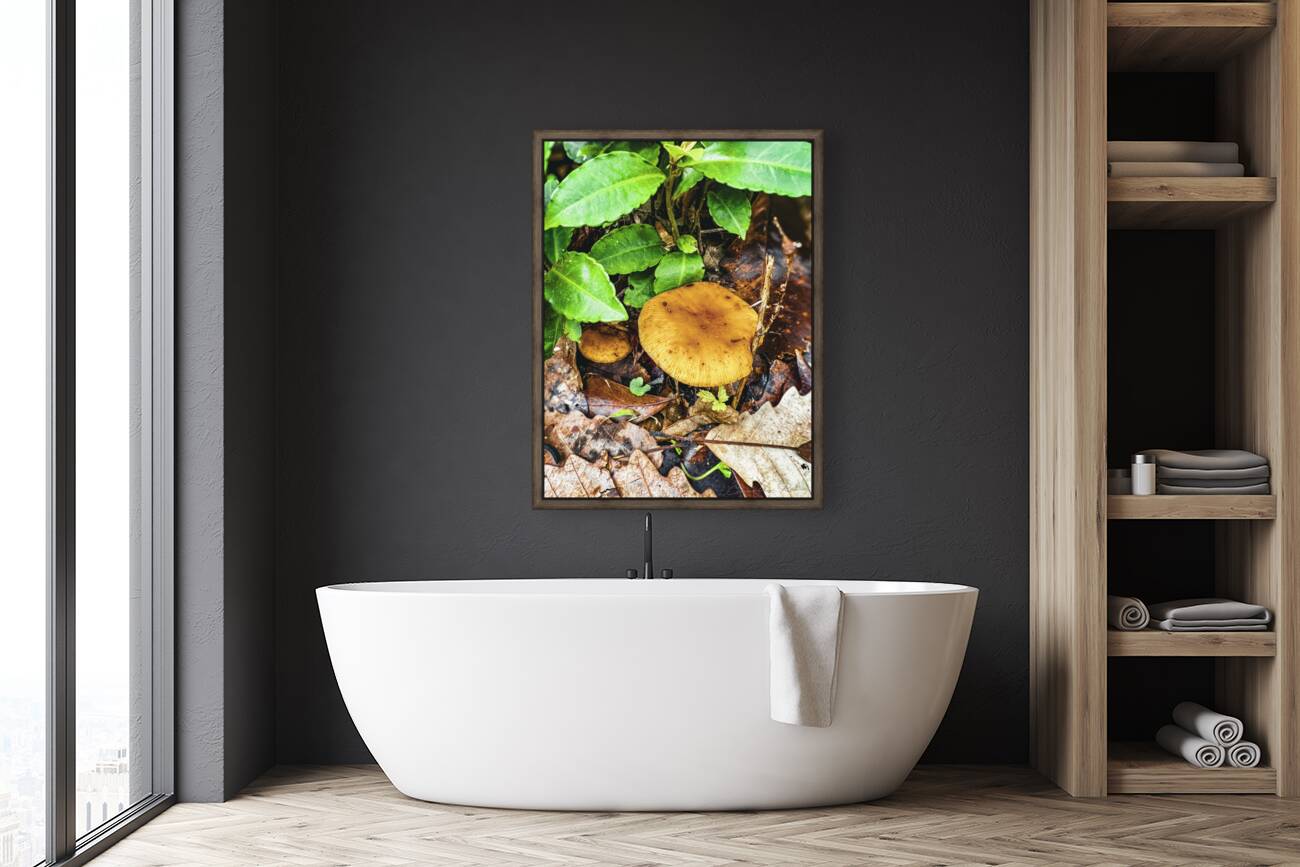 ©Charles Rain Photography Reproduction