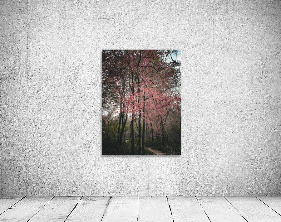 ©Charles Rain Photography Wall Preview