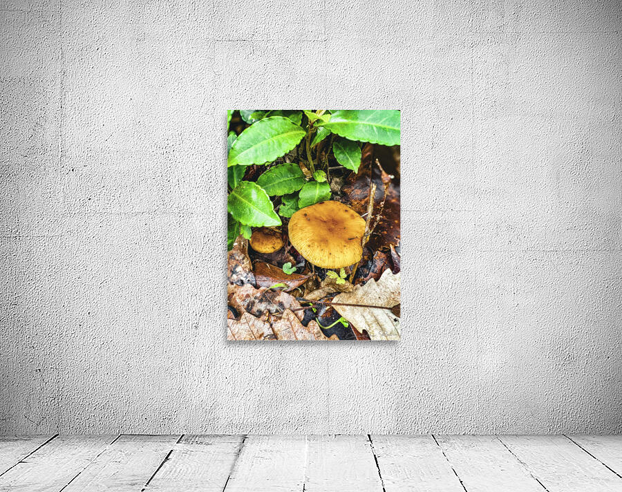 ©Charles Rain Photography Wall Preview