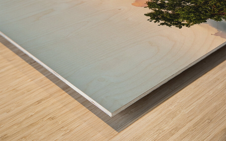 ©Charles Rain Photography Wood print