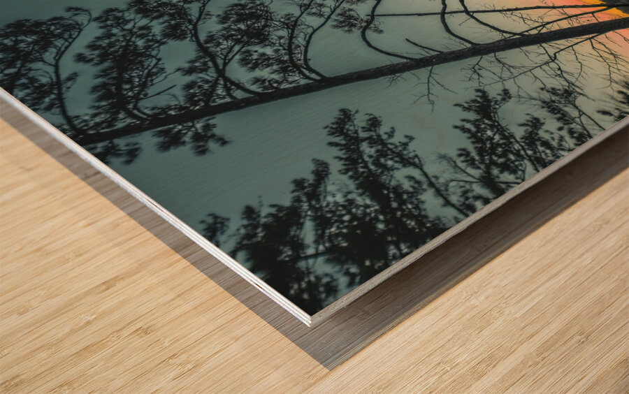 ©Charles Rain Photography Wood print