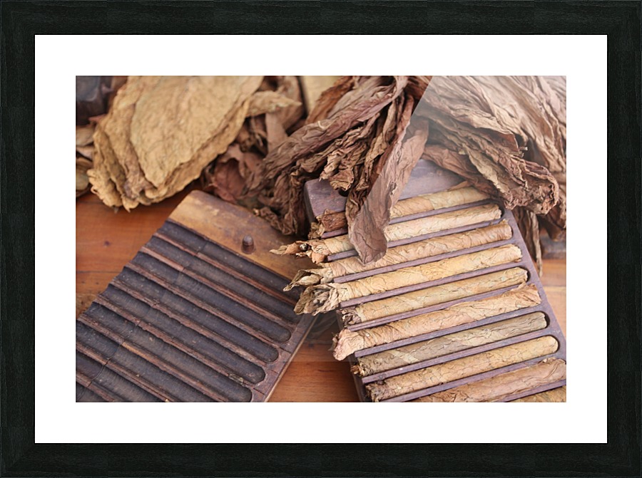 Cuba Cigars 5625 Picture Frame print