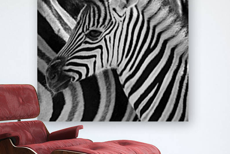 Zebras Etosha Nationalpark - Namibia 1897 by Move-Art