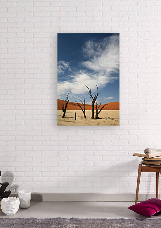 Sossusvlei Deadvlei Namibia 1678 by Move-Art