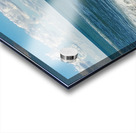 The Beauty of the Sea Acrylic print