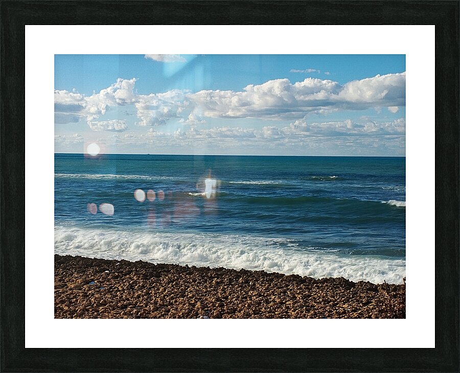 The Beauty of the Sea Picture Frame print