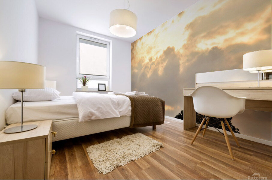 chevreuil eclaire Mural print