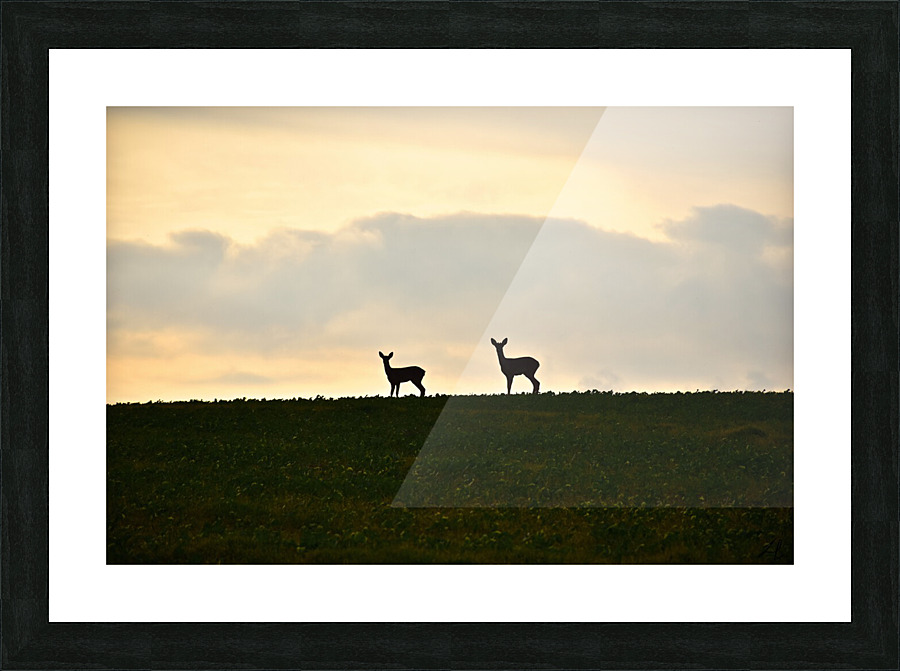 silhouettes curieuses  Picture Frame print