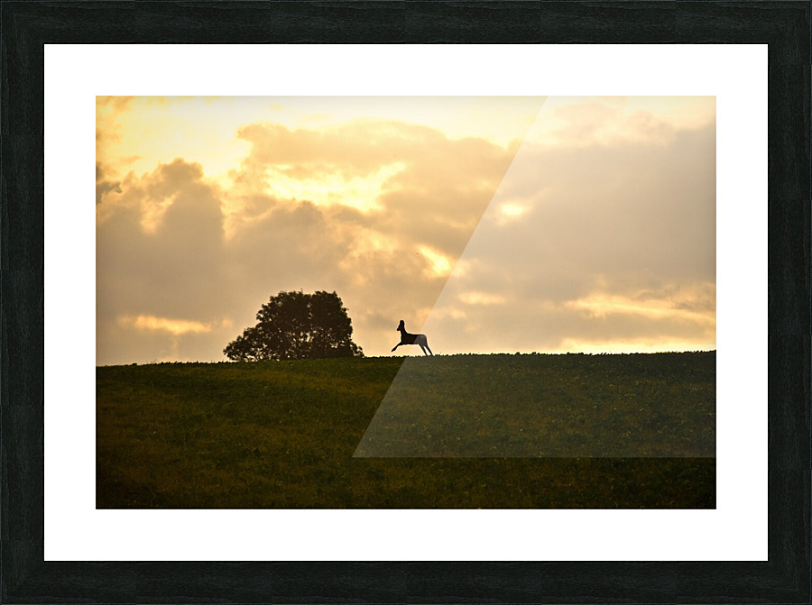bond du chevreuil  Picture Frame print