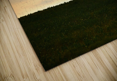 silhouettes curieuses  Julien Lecomte puzzle