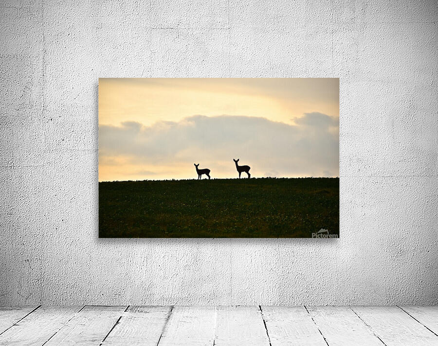 silhouettes curieuses  Wall Preview