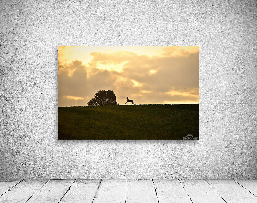 bond du chevreuil  Wall Preview