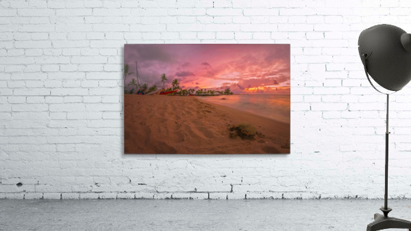 Sunset in Hawaii Wall Preview